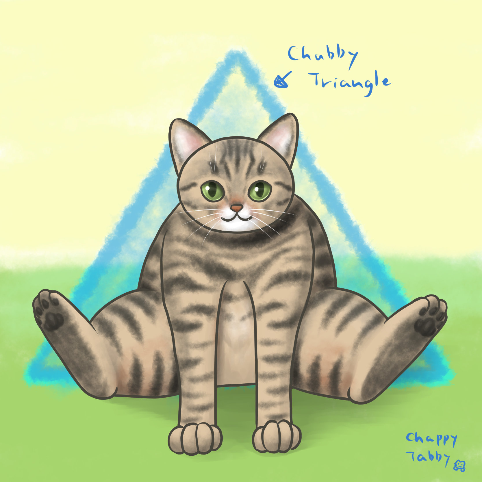 Chappy Tabby